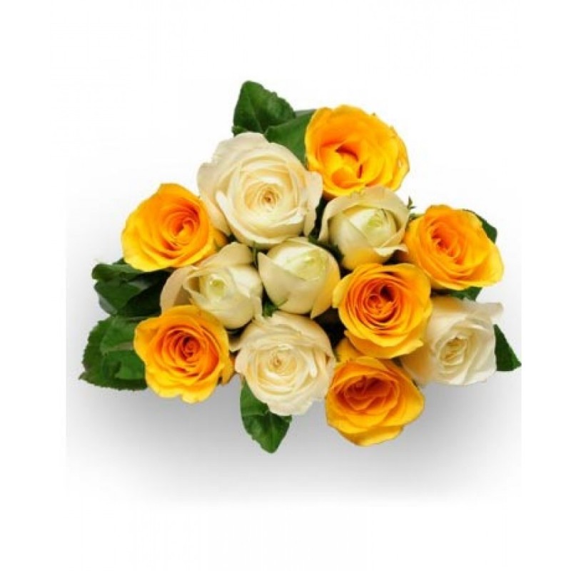 Bunch of 24 yellow and white Roses