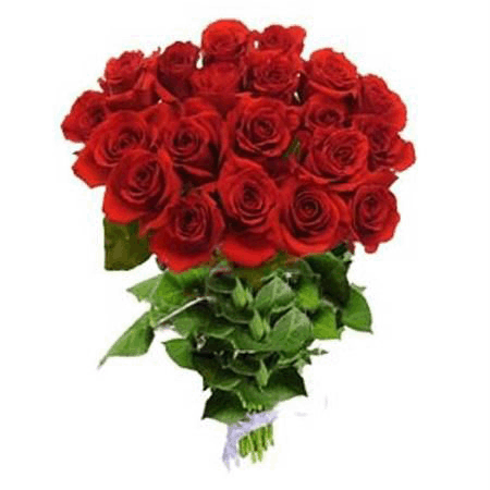 Beautiful 20 Rose Bouquet