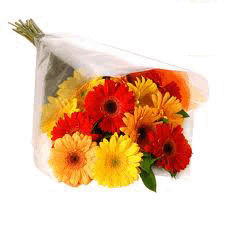 Beautiful Multicolor Gerberas Bouquet